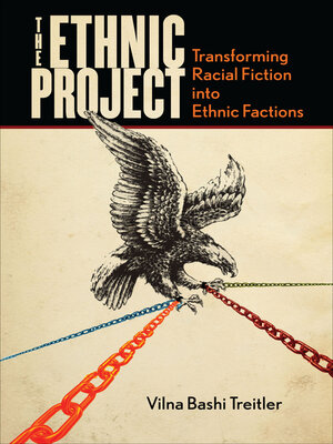 cover image of The Ethnic Project